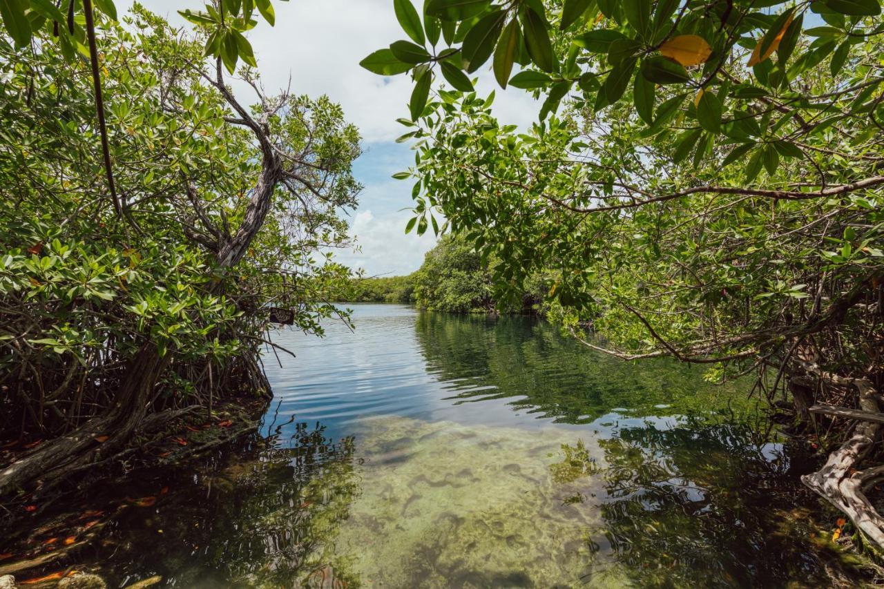 Yaxchen Tulum Cabanas & Cenote Eksteriør bilde