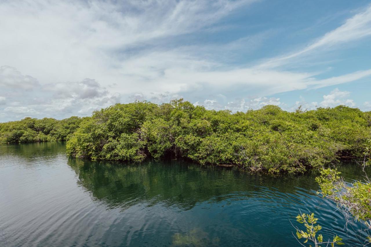 Yaxchen Tulum Cabanas & Cenote Eksteriør bilde